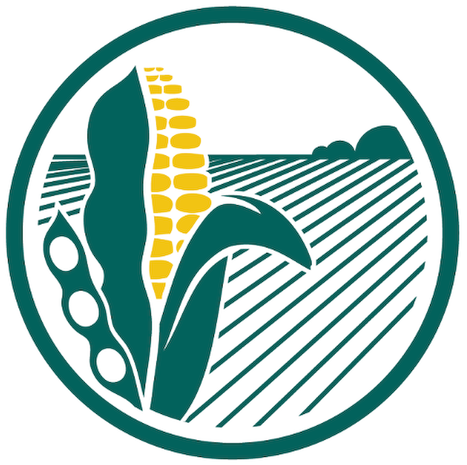 Senesac Grain Farms, LLC