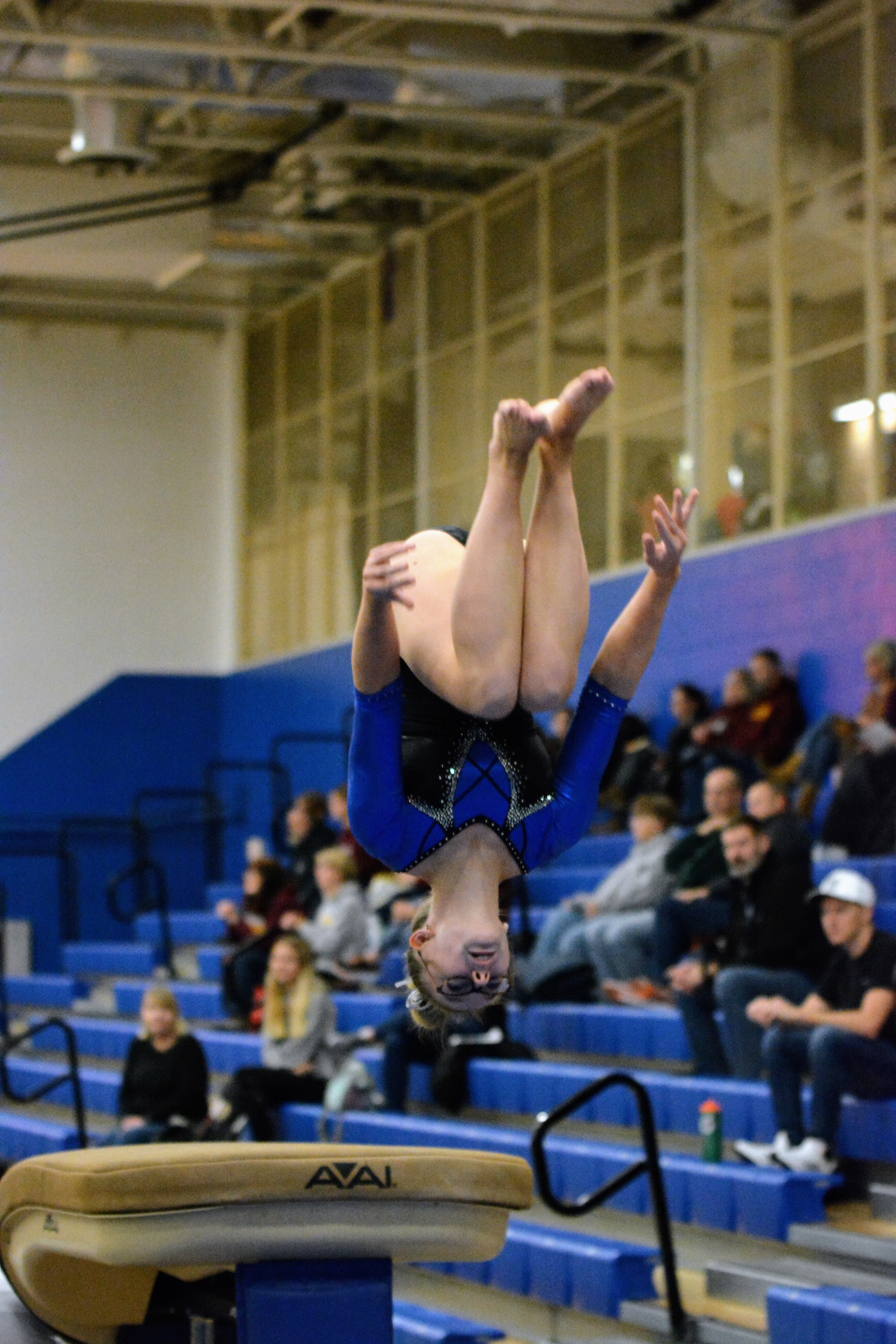 Cougars nip Dogs in gymnastics cover photo