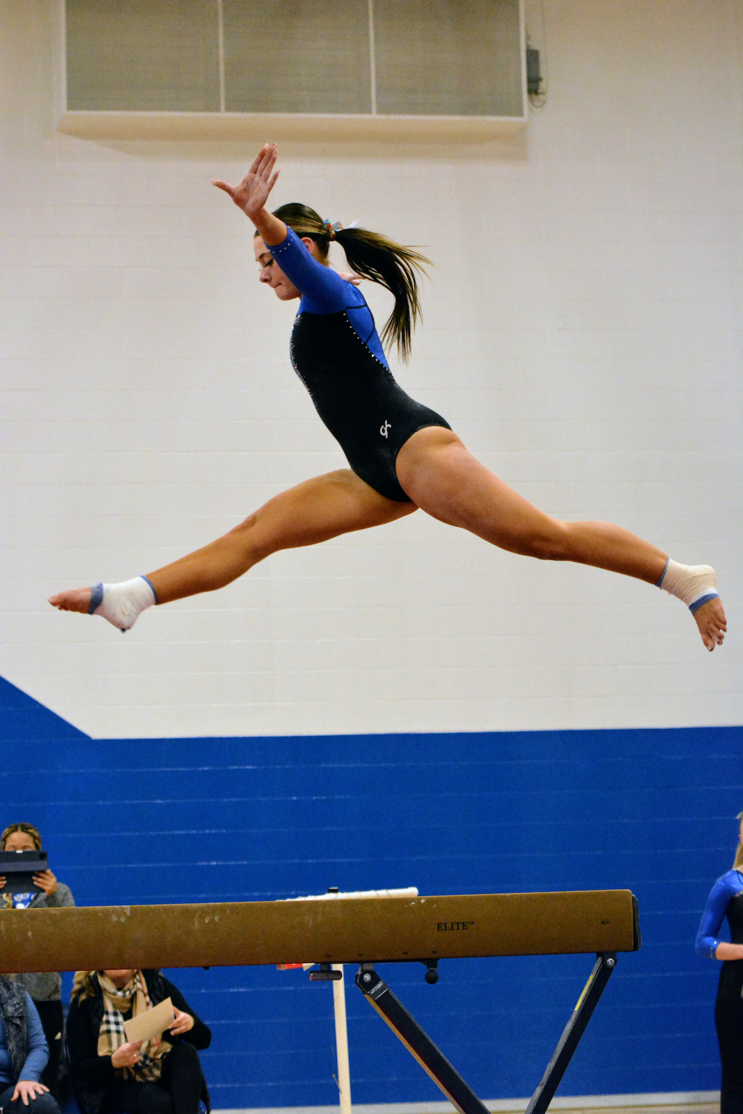 Bull Dogs roll past Roncalli in gymnastics cover photo