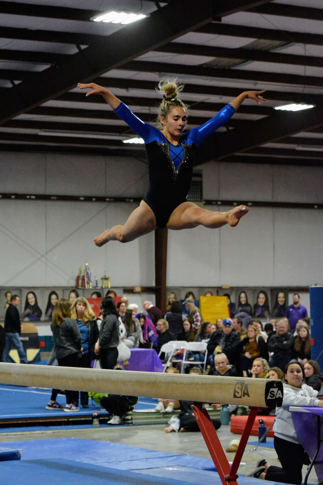 2022-23 Gymnastics at Seymour 2-2-23 gallery cover photo