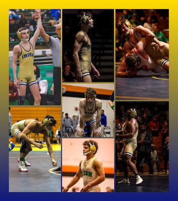 Seven Wrestlers Headed to State cover photo
