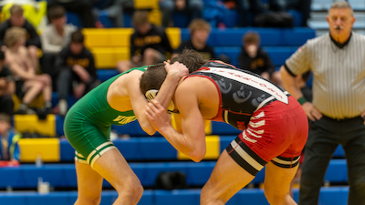 5 Harrison Wrestlers Advance To Regonals cover photo