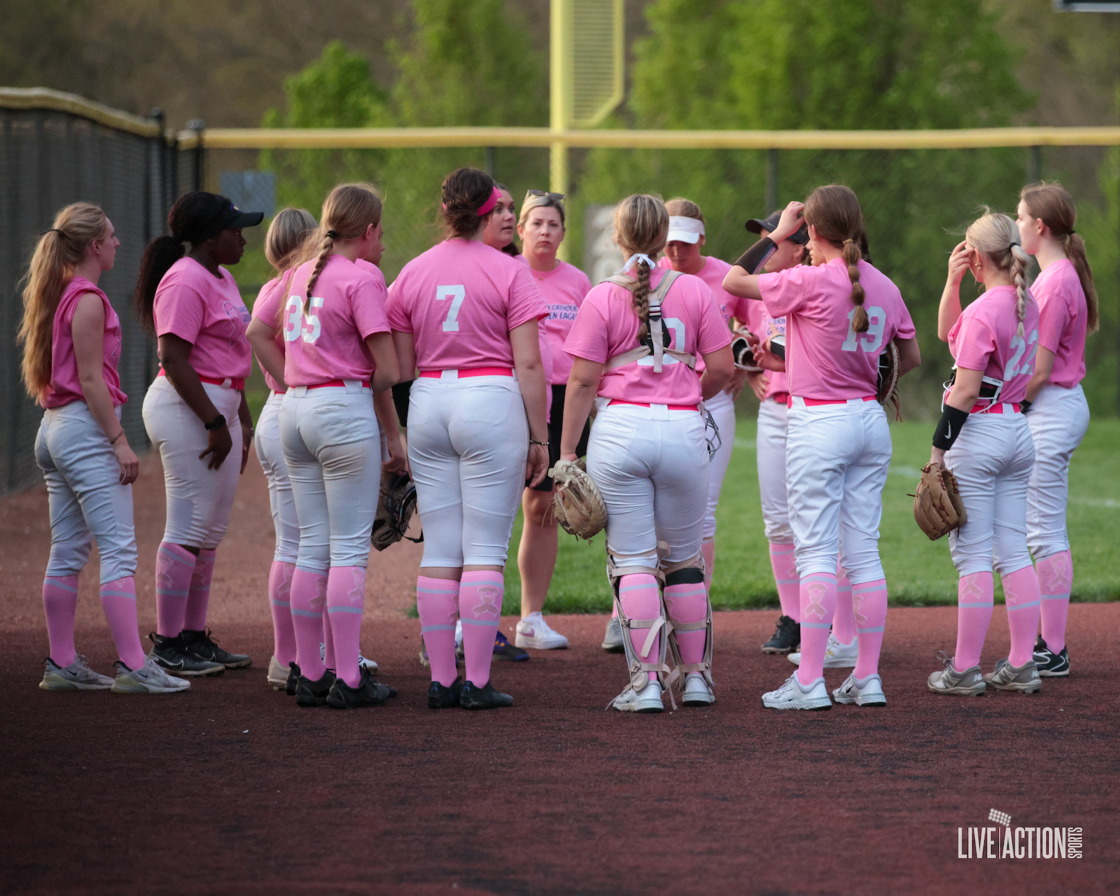 Golden Eagle Softball Cancer Awareness Game gallery cover photo