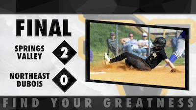 Springs Valley softball upsets Northeast Dubois, will play for Sectional 64 title cover photo