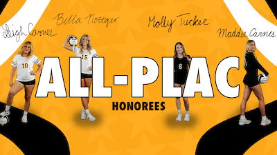 Valley volleyball quartet named All-PLAC cover photo