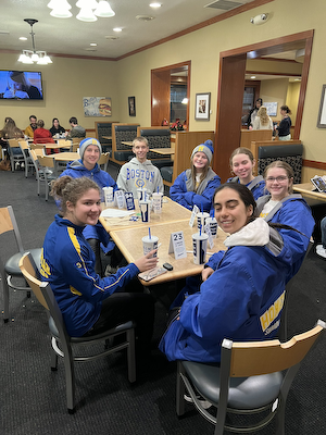 Homestead Dive team places well at the Carroll Dive Invite cover photo