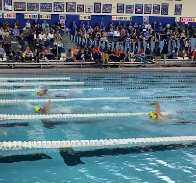 Homestead Swim has a great showing at HSE!! cover photo