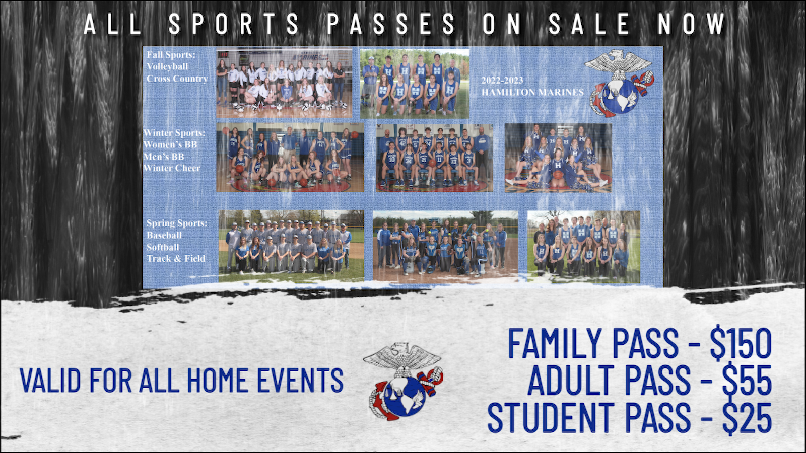 2023-2024 - All Sports Pass.png