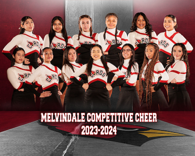 Competitive Cheerleading gallery cover photo