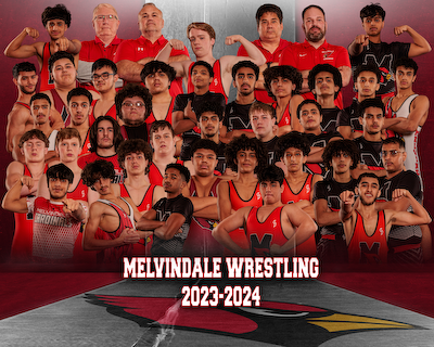 Wrestling gallery cover photo