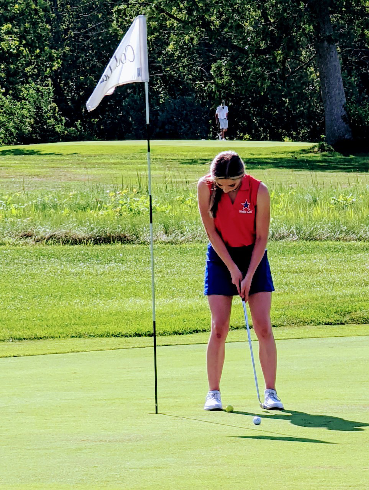 Stars fall to West Lafayette in girls golf cover photo