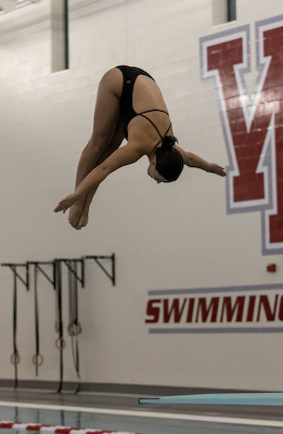 Divers take on Hoosier Conference at Home cover photo