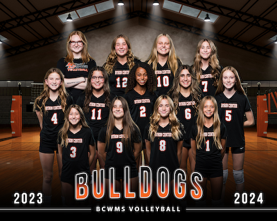 Volleyball (7th Orange) gallery cover photo