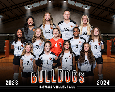 Volleyball (8th Orange) gallery cover photo