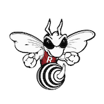 Rossville Middle/Senior High School Logo