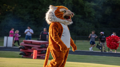 Tiger mascot resized.png