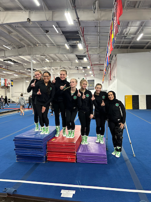 Westfield Gymnastics Takes First Place at Noblesville cover photo