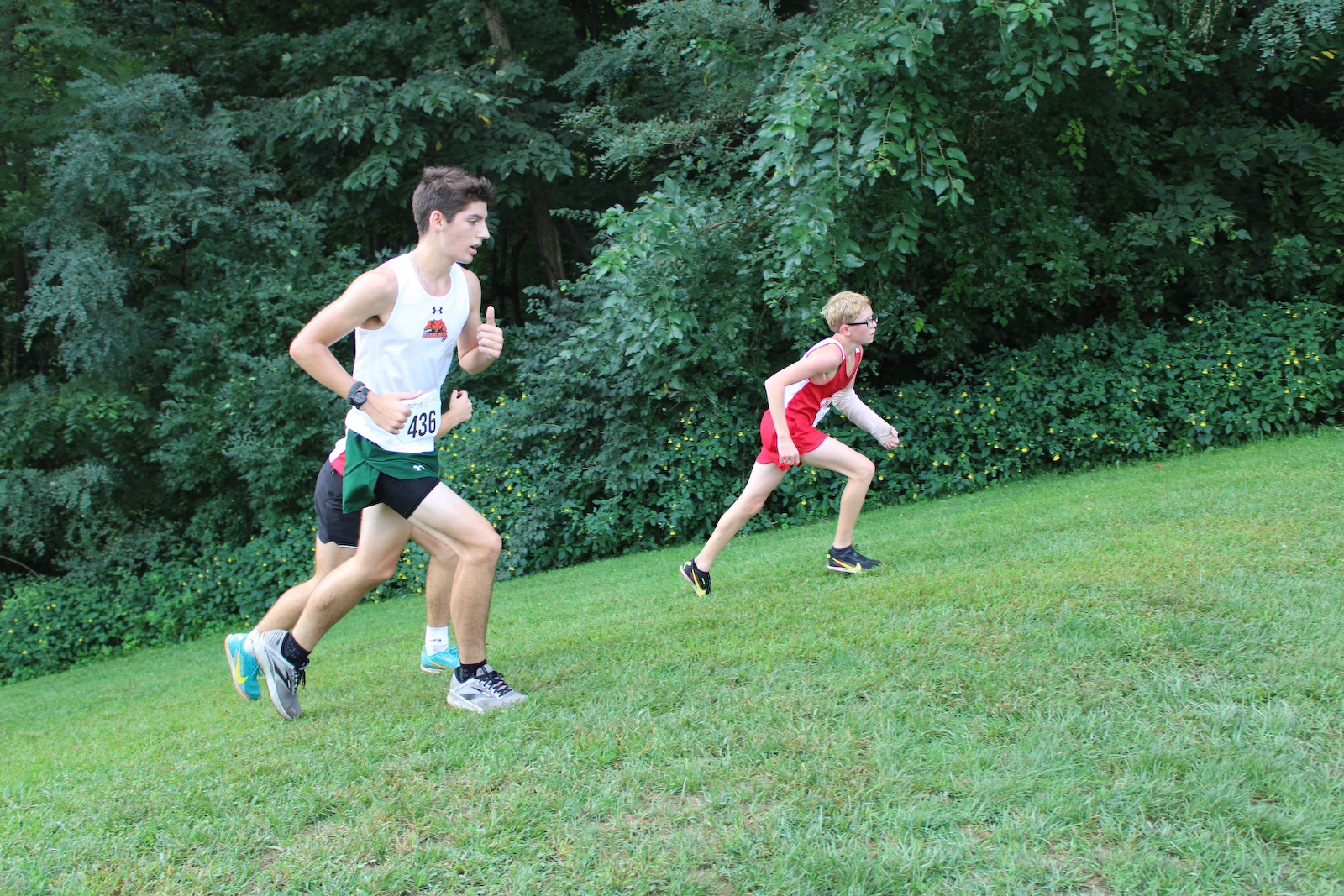 Bearcats stay the course at Harrison Invitational cover photo