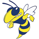 Mitchell High School Logo